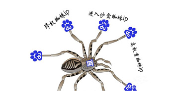 百度蜘蛛是什么？